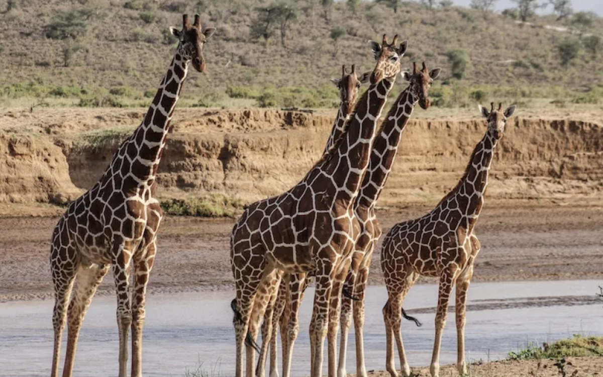 Top 3 places to visit in Nairobi